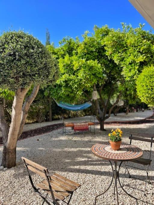 Teo Apartment Paphos Luaran gambar
