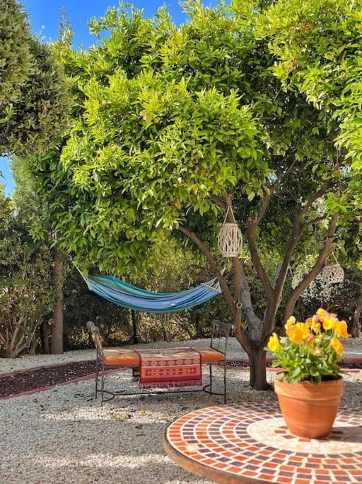 Teo Apartment Paphos Luaran gambar
